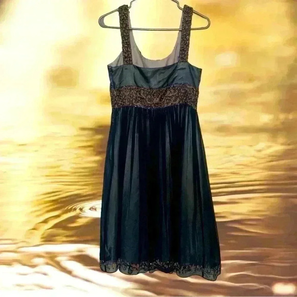 Adrianna Papell Cocktail dress w crinoline, beading, gorgeous pleating Size 6 - Picture 3 of 17